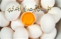 !انڈوں کی قیمتیں اب تک کا ریکارڈ بلند ی پر پہنچیں۔ یہ ہیں وجوہات